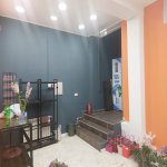 Kirayə (aylıq) Obyekt, Gənclik metrosu, Nərimanov rayonu 3