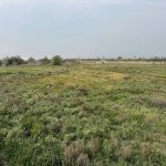 Продажа Участок, пос. Нардаран, Сабунчу район 2