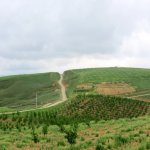 Satılır Obyekt Şamaxı 5