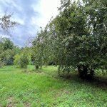 Satılır 3 otaqlı Həyət evi/villa İsmayıllı 16