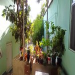 Satılır 7 otaqlı Həyət evi/villa, Həzi Aslanov metrosu, H.Aslanov qəs., Xətai rayonu 18