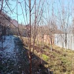 Kirayə (günlük) 5 otaqlı Həyət evi/villa Quba 19
