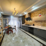 Kirayə (aylıq) 2 otaqlı Yeni Tikili, 28 May metrosu, Cavanşir körpüsü, Nəsimi rayonu 11