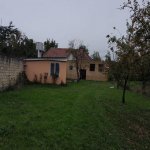 Kirayə (aylıq) 1 otaqlı Bağ evi İsmayıllı 9