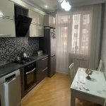 Satılır 3 otaqlı Yeni Tikili, Nəriman Nərimanov metrosu, Nərimanov rayonu 13