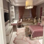 Kirayə (aylıq) 6 otaqlı Yeni Tikili, Gənclik metrosu, Nərimanov rayonu 11