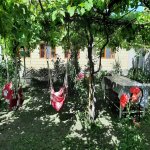 Kirayə (günlük) 4 otaqlı Həyət evi/villa Qax 1