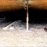 Продажа Объект Хачмаз 39