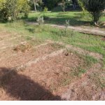 Satılır Torpaq, Pirallahı, Pirallahı rayonu 2