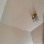 Satılır 5 otaqlı Bağ evi, Suraxanı rayonu 31