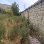 Satılır Torpaq, Saray, Abşeron rayonu 2