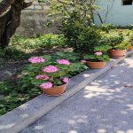 Kirayə (günlük) 9 otaqlı Həyət evi/villa Şəki 2