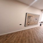 Аренда 4 комнатная Новостройка, м. Гянджлик метро, Парк Дядя Горгуд, Насими район 8