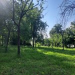 Satılır 3 otaqlı Bağ evi Zaqatala 8