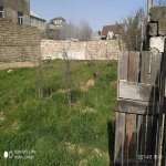 Satılır Torpaq, Mehdiabad, Abşeron rayonu 14