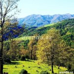 Kirayə (günlük) 3 otaqlı Həyət evi/villa Lerik 4