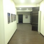 Kirayə (aylıq) 8 otaqlı Ofis, 28 May metrosu, Nəsimi rayonu 8