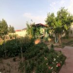 Kirayə (aylıq) 4 otaqlı Bağ evi, Dübəndi, Xəzər rayonu 40