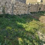 Satılır 3 otaqlı Həyət evi/villa, Qobu, Abşeron rayonu 20