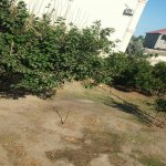 Satılır 7 otaqlı Həyət evi/villa, Koroğlu metrosu, Sabunçu qəs., Sabunçu rayonu 7