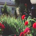 Kirayə (günlük) 1 otaqlı Həyət evi/villa Qusar 2