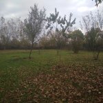 Satılır Torpaq Qəbələ 5