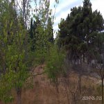 Satılır Torpaq, Mərdəkan, Xəzər rayonu 3