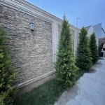 Kirayə (günlük) 4 otaqlı Bağ evi, Mərdəkan, Xəzər rayonu 20