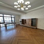 Kirayə (aylıq) 2 otaqlı Yeni Tikili, Nəriman Nərimanov metrosu, Nərimanov rayonu 2