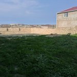 Satılır Torpaq, Saray, Abşeron rayonu 3