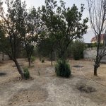 Satılır Torpaq, Saray, Abşeron rayonu 5