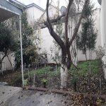 Kirayə (aylıq) 4 otaqlı Bağ evi, Nəsimi metrosu, Rəsulzadə qəs., Binəqədi rayonu 4