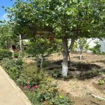 Satılır 8 otaqlı Bağ evi, Mərdəkan, Xəzər rayonu 14