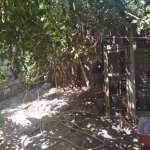 Продажа 2 комнат Дома/Виллы, пос. Бакиханова, Сабунчу район 16