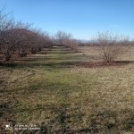 Продажа Участок Гябяля 2