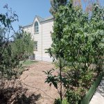 Kirayə (aylıq) 5 otaqlı Bağ evi, Türkan, Xəzər rayonu 4