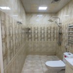 Kirayə (aylıq) 3 otaqlı Yeni Tikili, Gənclik metrosu, Nəsimi rayonu 14