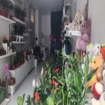 Satılır Obyekt, Nərimanov rayonu 6