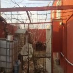 Satılır 4 otaqlı Həyət evi/villa, Maştağa qəs., Sabunçu rayonu 3