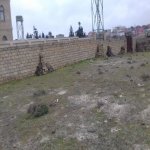Satılır Torpaq, Goradil, Abşeron rayonu 3
