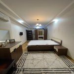 Kirayə (aylıq) 3 otaqlı Yeni Tikili, Nizami metrosu, Qış parkı, Yasamal rayonu 9