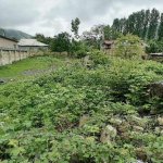 Satılır Torpaq Qəbələ 2