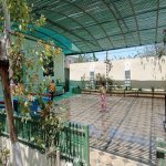 Kirayə (aylıq) 5 otaqlı Bağ evi, Türkan, Xəzər rayonu 3