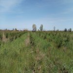 Продажа Участок Хачмаз 18