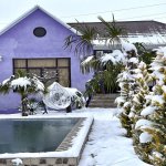 Kirayə (günlük) 4 otaqlı Bağ evi İsmayıllı 3
