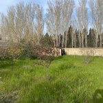 Продажа 10 комнатная Дача, Горадиль, Абшерон район 5