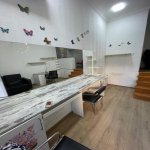 Kirayə (aylıq) 1 otaqlı Köhnə Tikili, Nəriman Nərimanov metrosu, Nərimanov rayonu 4
