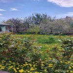 Kirayə (günlük) 2 otaqlı Bağ evi Quba 5