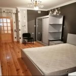 Kirayə (aylıq) 2 otaqlı Yeni Tikili, Yeni Yasamal qəs., Yasamal rayonu 5