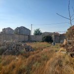 Satılır Torpaq, Saray, Abşeron rayonu 7